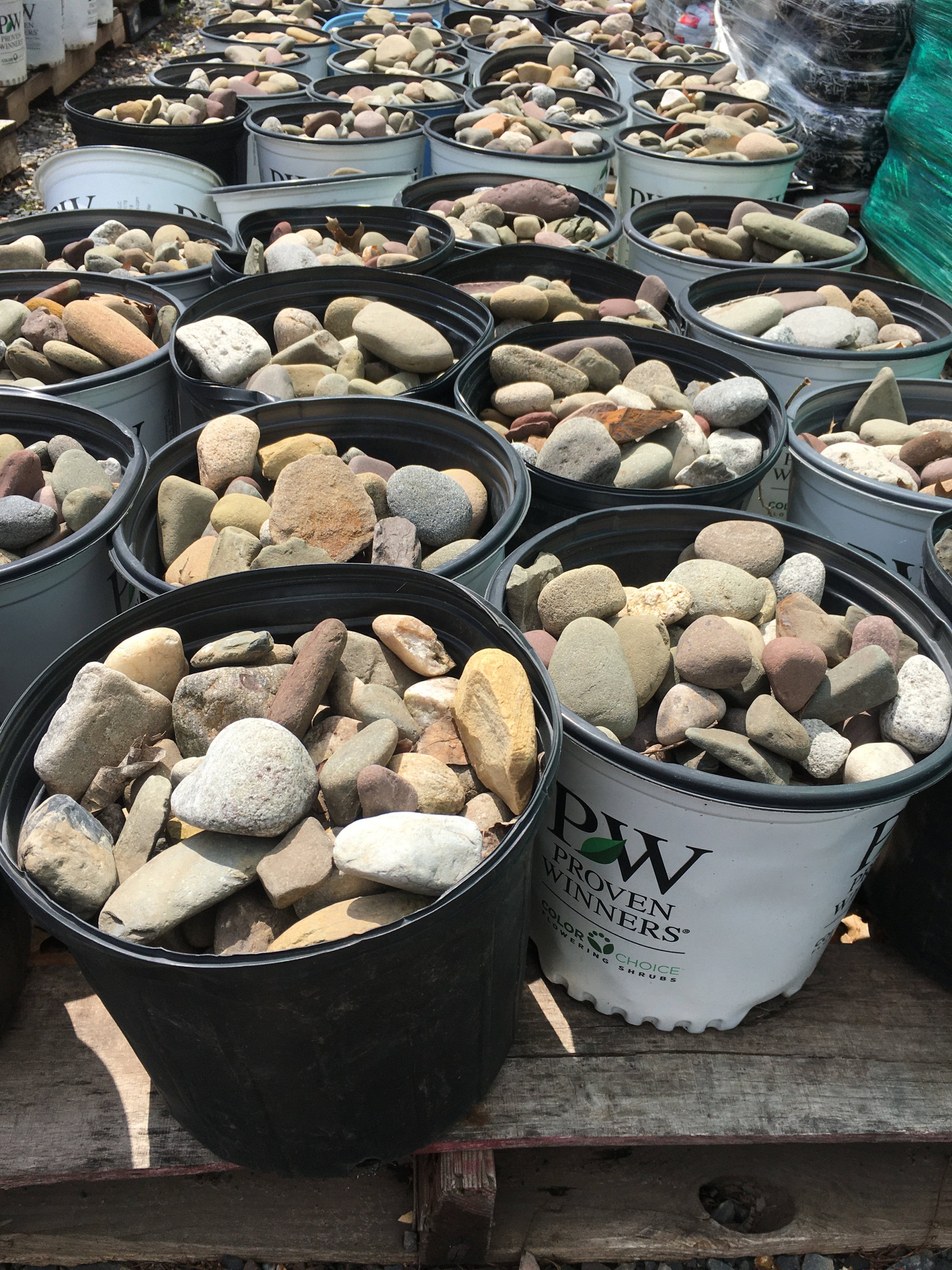 Bucket Stone River Rock COUNTY LINE NURSERY